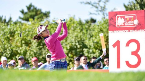 沙场玫瑰的荣光与风情