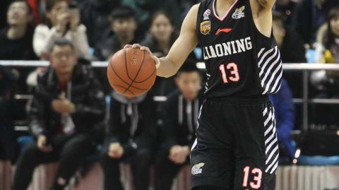 辽篮热血战纪：从群星闪耀到登顶之巅