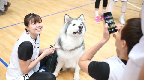 金兰携瑞犬，京城展英姿：北京女篮新春写真定格柔情与霸气