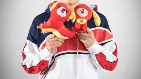 南粤玫瑰绽新春：广东女篮的荣耀与传承