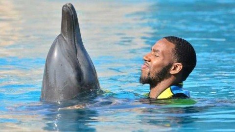 新疆飞虎雄鹰邂逅迪拜海浪：亚当斯与海豚共谱假日乐章