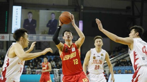 东北虎主场饮恨吞八连败 深圳烈豹客场凯歌奏