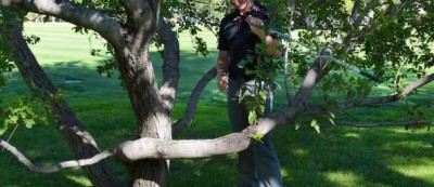 果岭光影间：英雄、伙伴与观众的众生相