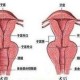 女性摘环手术过程图，女性摘环手术过程图片