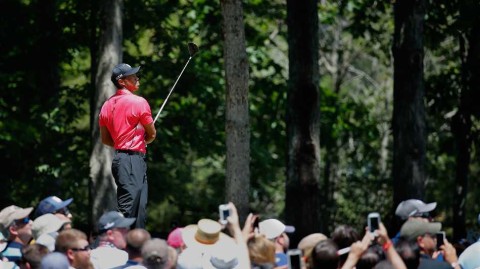 猛虎苏醒记：伍兹赛场搏击录