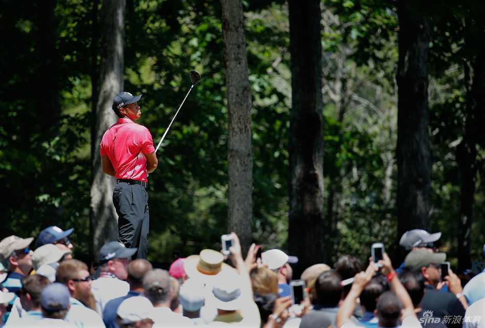 猛虎苏醒记:伍兹赛场搏击录 泰格·伍兹在晨光中沉稳走向果岭,目光如炬审视球道