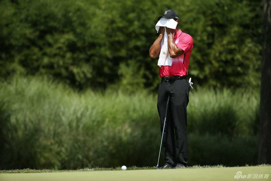 猛虎苏醒记:伍兹赛场搏击录 伍兹在关键洞顶住压力开出完美一球,身姿依旧挺拔