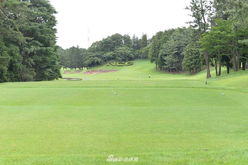 王者加冕之地:探秘日本传奇球场习志野乡村俱乐部 球手正在挑战一个三杆洞,背景是茂密的森林,小小果岭被沙坑环抱,精准的铁杆击球在此刻至关重要。