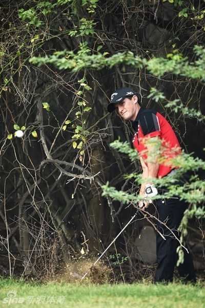 球员查尔斯在古树的盘根错节间优雅侧身，以一记精妙的救球将小球从树荫困境中轻柔送出，展现了高超的短杆技巧