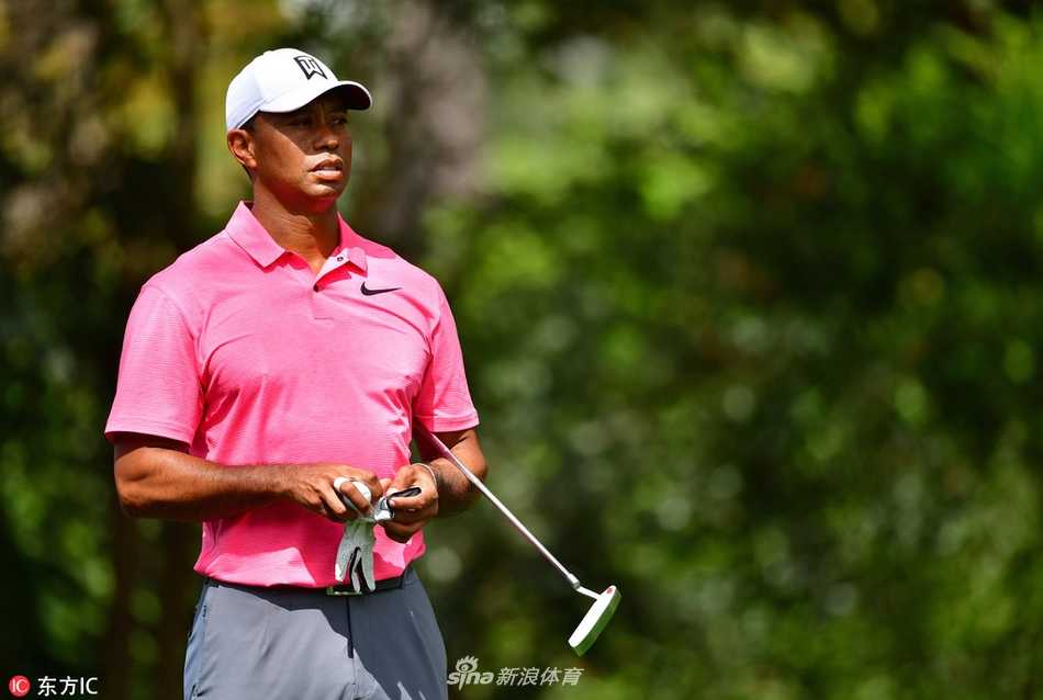 伍兹漫步于奥古斯塔高大的松林之间，背影坚定，仿佛正从容步入另一段传奇篇章。