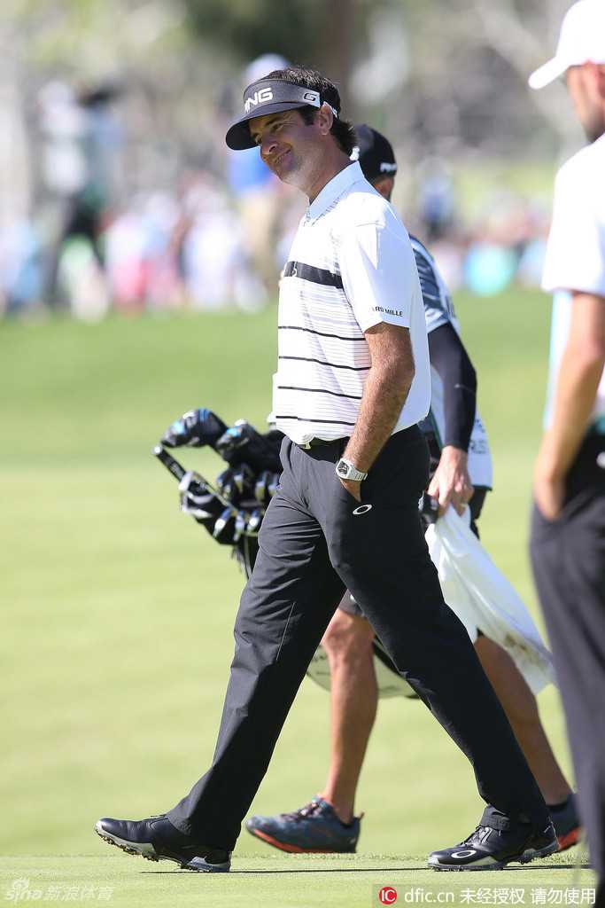 决赛轮关键时刻，巴巴·沃森一记精妙的切球将球从长草区送至洞杯旁，引发观众一片惊叹