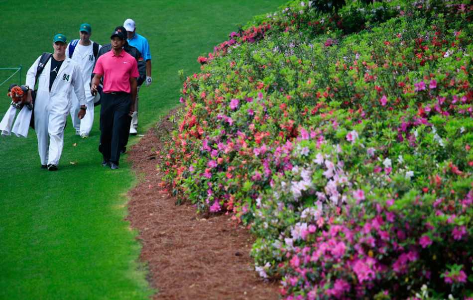 球迷们聚集在奥古斯塔著名的记分牌和观赛山丘周围，紧张而期待地关注着比赛的实时进展，每个人的脸上都写满了对这项运动最纯粹的热爱。