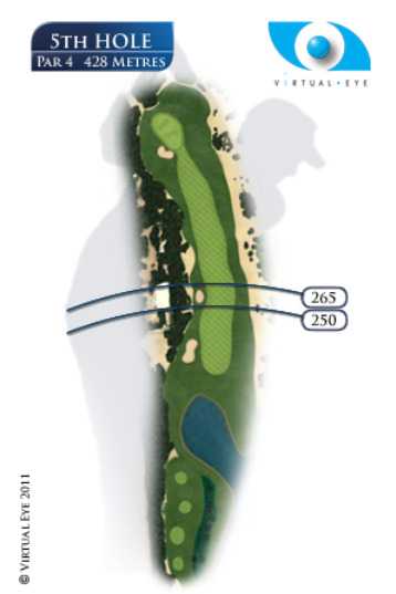 白色高尔夫球静静地停在墨绿色果岭边缘，与球洞近在咫尺，凝滞的一刻充满了即将进洞的期待与悬念。