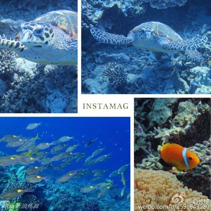 俞长栋马尔代夫享柔情时光,铁汉冠军背后的爱与感恩 度假村的无边泳池边,俞长栋和妻子相视而笑,他搞怪地做出夸张表情逗乐妻子,两人仿佛回到热恋时期,氛围轻松又俏皮。