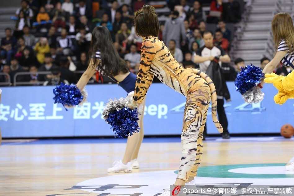 终场哨响，球员们退场，几位篮球宝贝在场边合影留念，她们脱下高跟鞋拎在手中，穿着虎纹服赤脚踩在地板上，笑容比获胜的球员还要灿烂，定格了这个美好的CBA夜晚