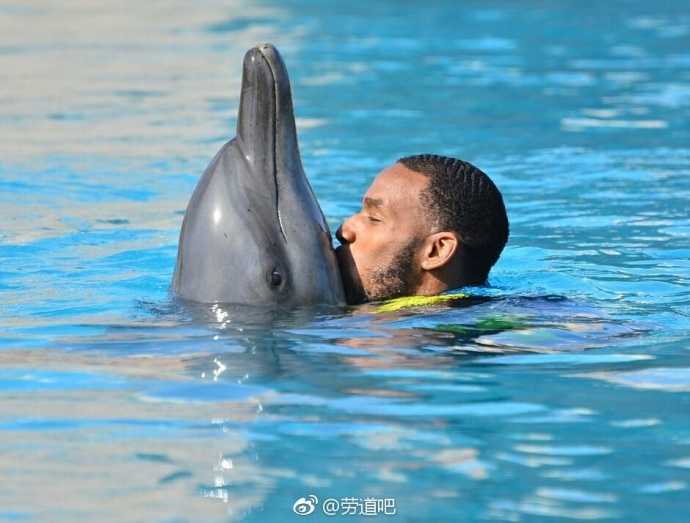 水花飞溅中，亚当斯畅快地与海豚并肩遨游，他脸上洋溢着的笑容比迪拜的阳光还要灿烂，这一刻他不是球场上的孤独英雄。