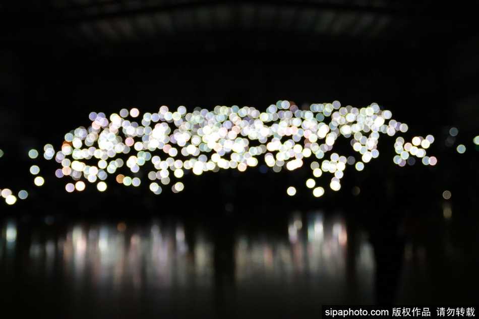 球场上，几名身穿球衣的球员抬头望向四周看台，脸上带着惊讶与感动交织的笑容，四周是观众用手机灯光汇成的璀璨光河