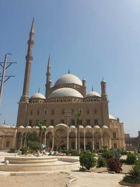 友谊赛复盘：波黑0-2埃及